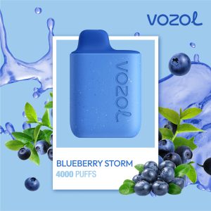 Star4000 Blueberry Storm – Tigara electronica de unica folosinta – Vozol