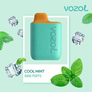 Star4000 Cool Mint – Tigara electronica de unica folosinta – Vozol
